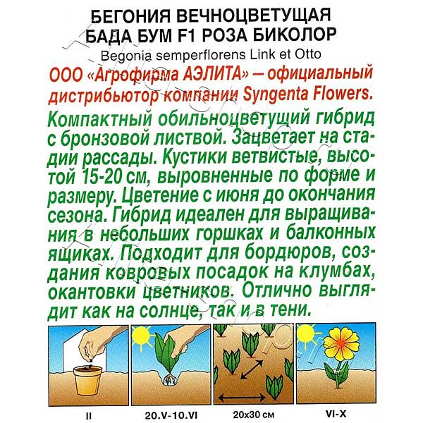 КОМ Бег Бада роза биколор Аэлита Цх10 