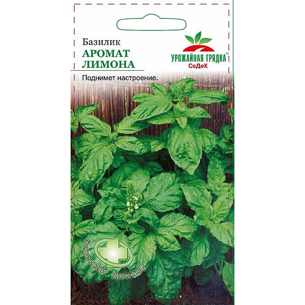 Базилик Аромат лимона Седек Ц