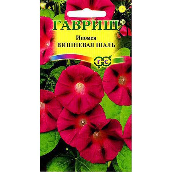 Ипомея Вишневая шаль Гавриш Ц 