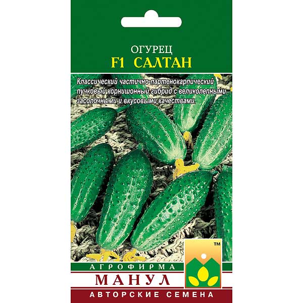 Огурец Салтан Манул Ц