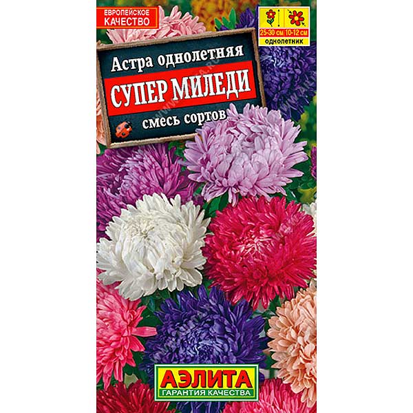 Астра Супер Миледи Аэлита Ц 