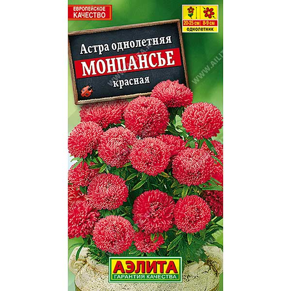 Астра Монпансье красная Аэлита Ц 