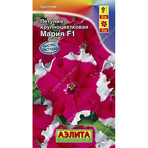 Петуния Мария крупноцв Аэлита Ц 