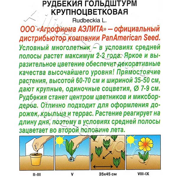 Рудбекия Гольдштурм Аэлита Ц 