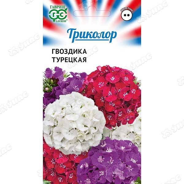 Гвоздика турецкая Триколор Гавриш Ц 