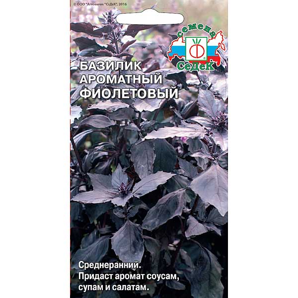 Базилик Ароматный Фиолетовый Седек Ц
