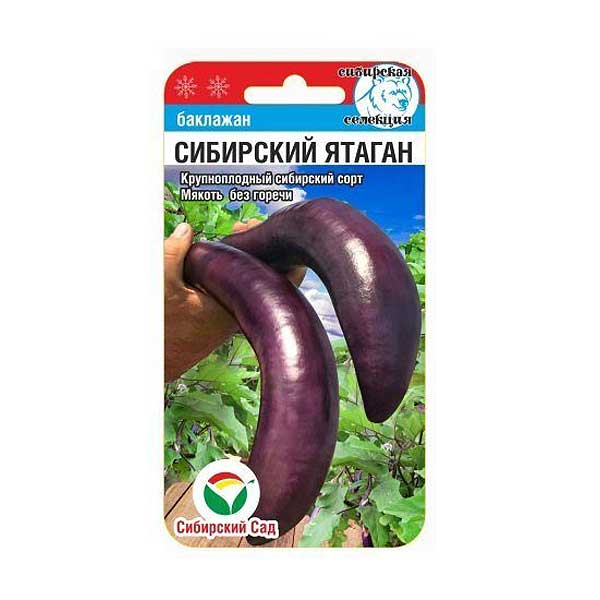 Баклажан Сибирский ятаган СибСад Цх10