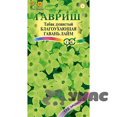 Табак душистый Благоухающая гавань лайм Гавриш Ц (ЗАКАЗ) 