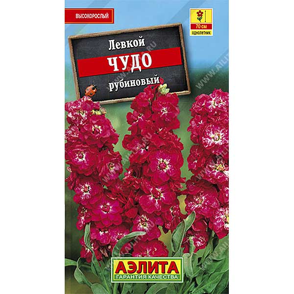 Левкой Чудо рубиновый высокоросл. Аэлита Ц 