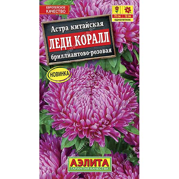 Астра Леди Коралл бриллиантово-розовая Аэлита Ц 