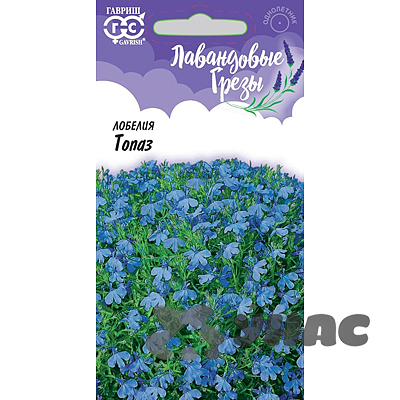 Лобелия Топаз Гавриш Ц 