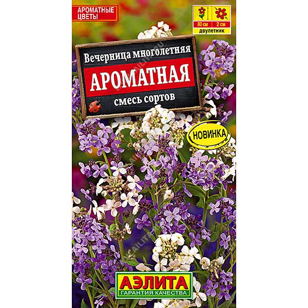 Вечерница Ароматная Аэлита Ц 