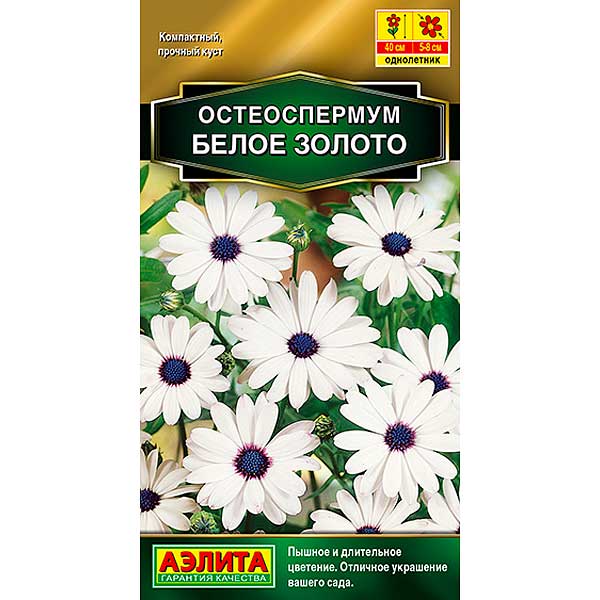 Остеоспермум Белое золото Аэлита Ц 