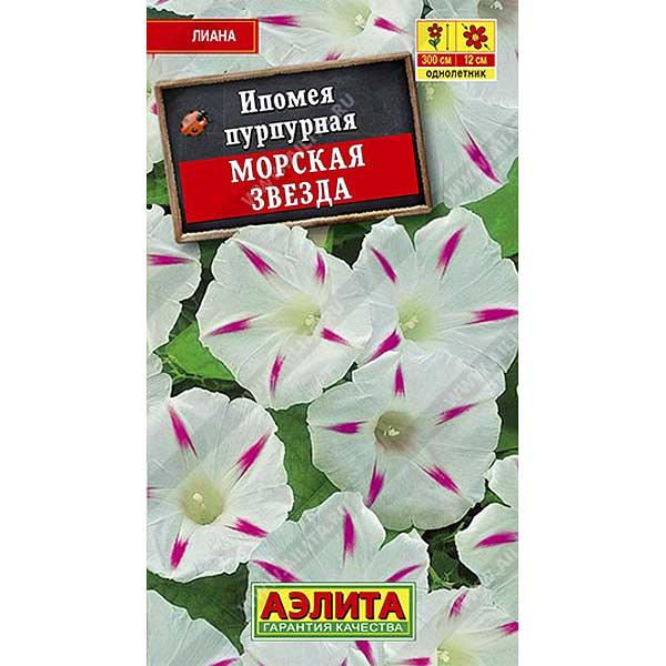 Ипомея Морская звезда Аэлита Ц 