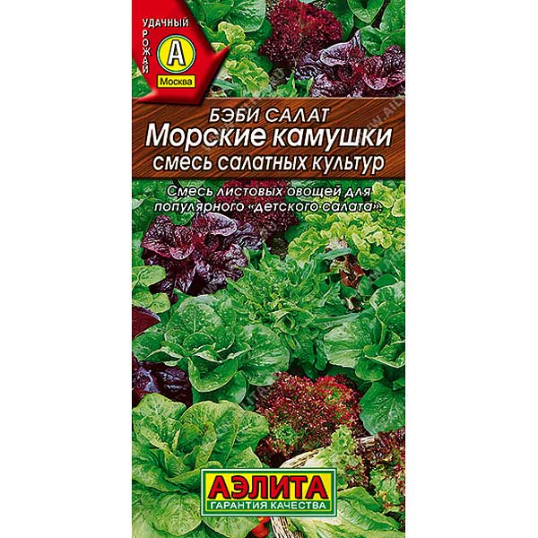 Салат Бэби Морские камушки Аэлита Ц