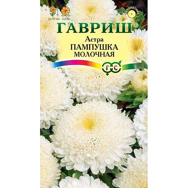 Астра Пампушка молочная Гавриш Ц 