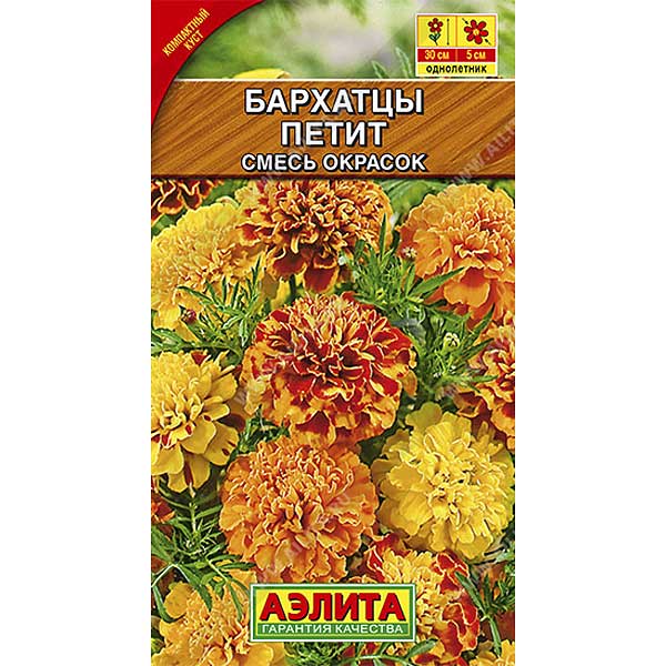Бархатцы Петит смесь Аэлита Ц 