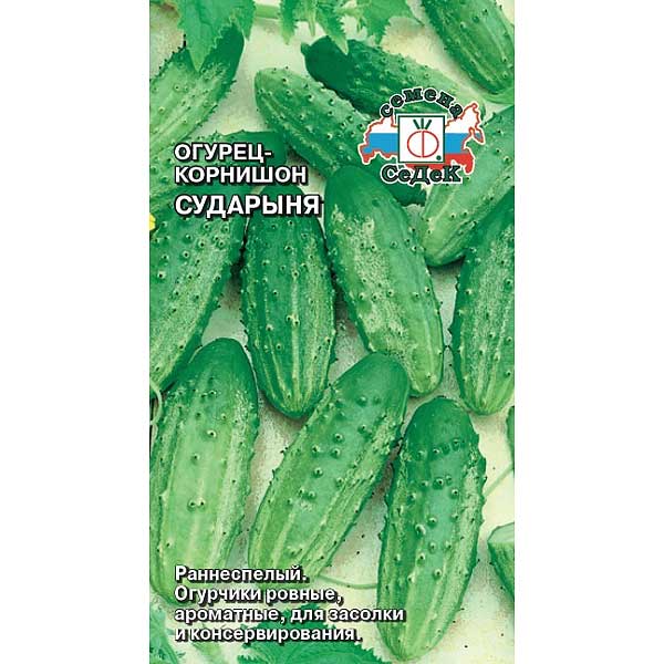 Огурец Сударыня Седек Ц /10 шт