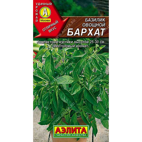 Базилик Бархат Аэлита Ц