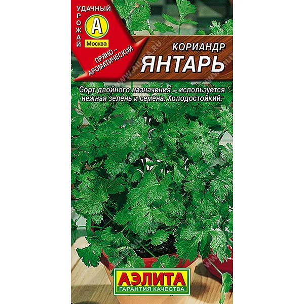 Кориандр Янтарь Аэлита Ц
