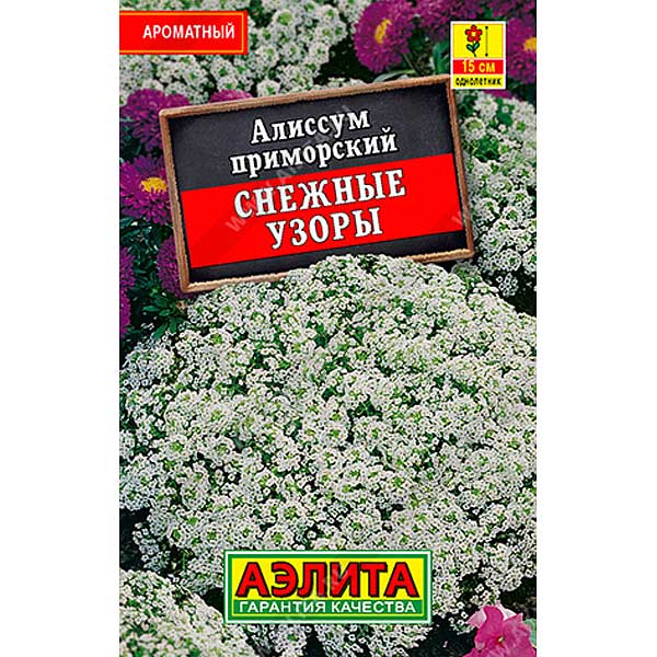 Алиссум Снежные узоры "Лидер" Аэлита Ц 