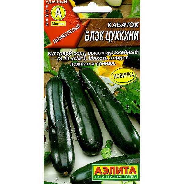 Кабачок Блэк цуккини Аэлита Ц