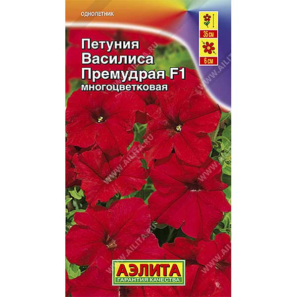 Петуния Василиса Премудрая Аэлита Ц 