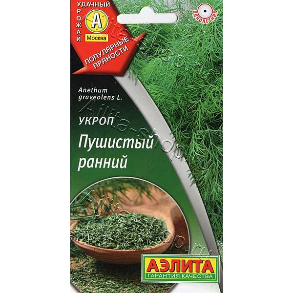 Укроп Пушистый ранний Аэлита Ц