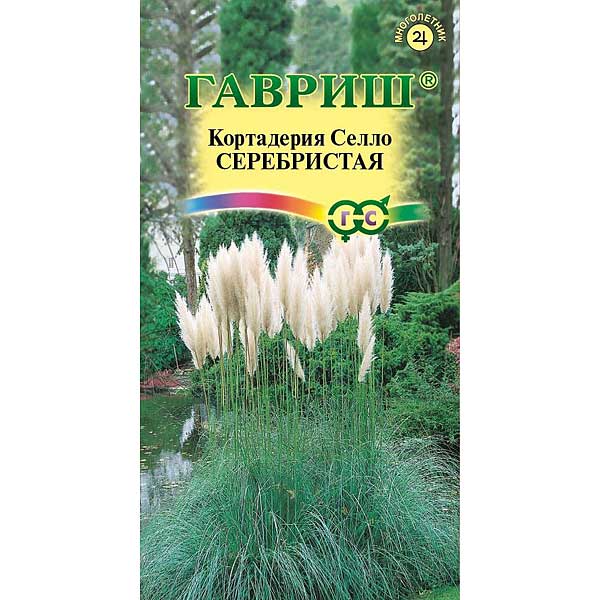 Кортадерия Серебристая Гавриш Цх10 