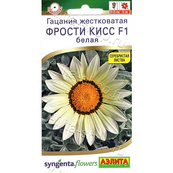 Гацания Фрости кисс Белая  Аэлита Ц 