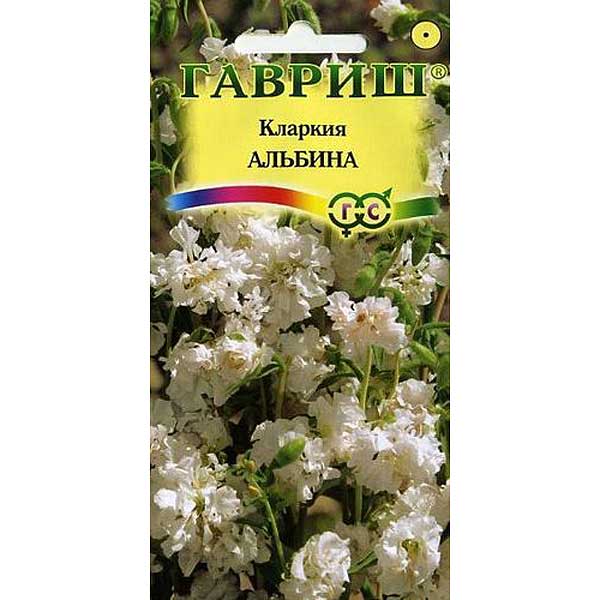 Кларкия Изящная Альбина Гавриш Ц 