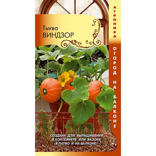 Тыква Виндзор Плазма Ц