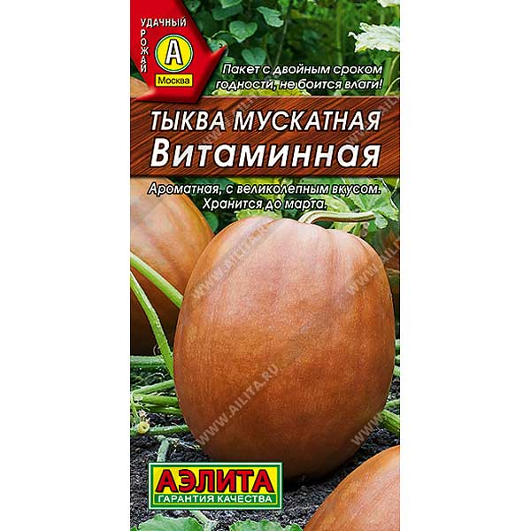 Тыква Витаминная Аэлита Ц