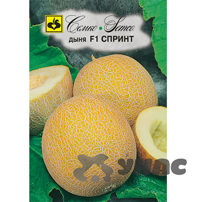 Дыня Спринт Семко Ц