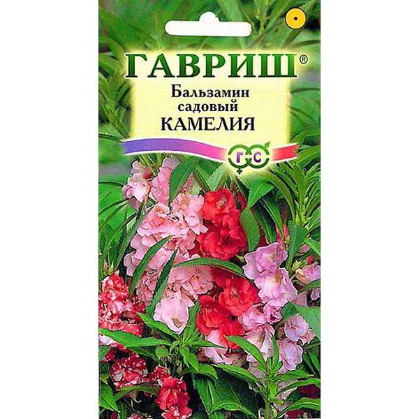 Бальзамин Камелия садовый Гавриш Ц 