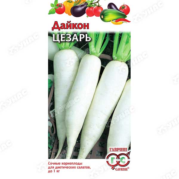 Дайкон Цезарь Гавриш Ц