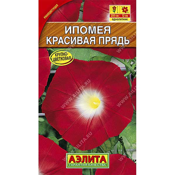 Ипомея Красивая прядь Аэлита Ц 