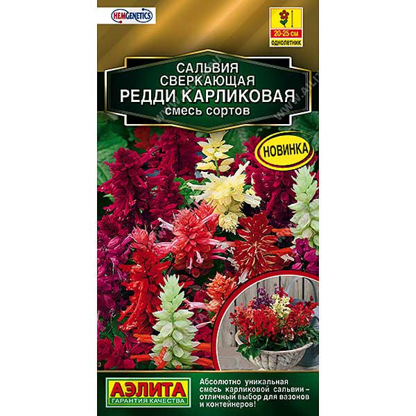 Сальвия Редди карликовая смесь Аэлита Цх10 