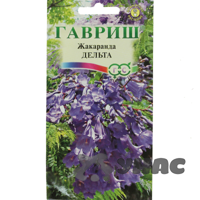 КОМ Жакаранда Дельта Гавриш Ц 