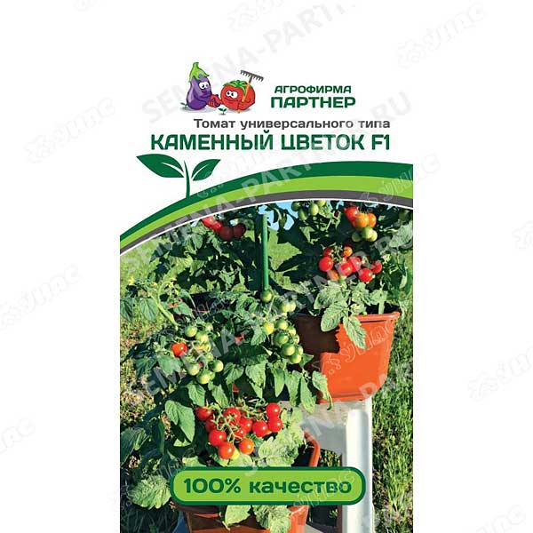 Семена Томат Каменный цветок Партнер