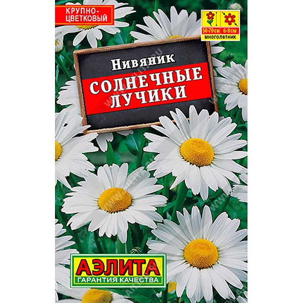 Нивяник Солнечные лучики "Лидер" Аэлита Ц 