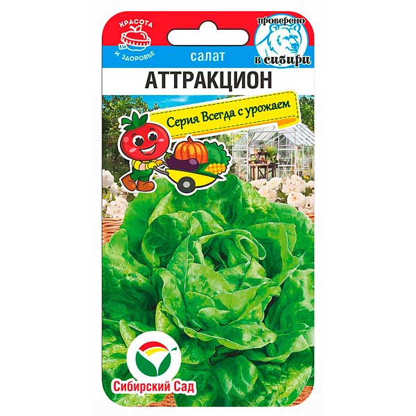 Салат Аттракцион СибСад Ц
