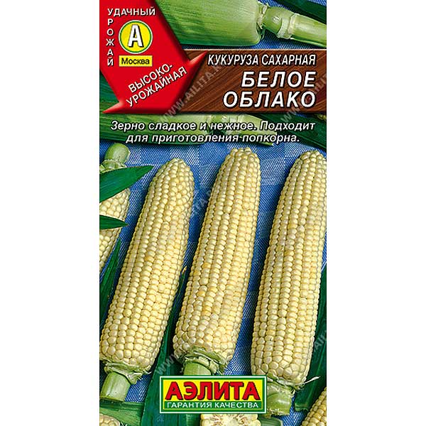 Кукуруза Белое облако Аэлита Ц
