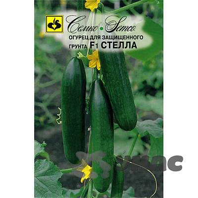 Огурец Стелла Семко Ц