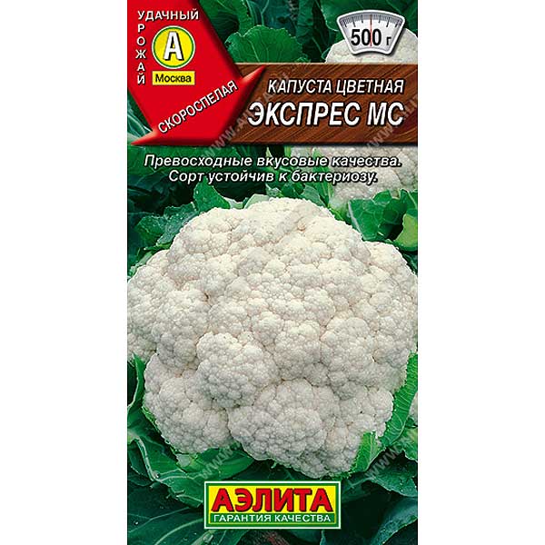 Капуста цв Экспресс Аэлита Ц