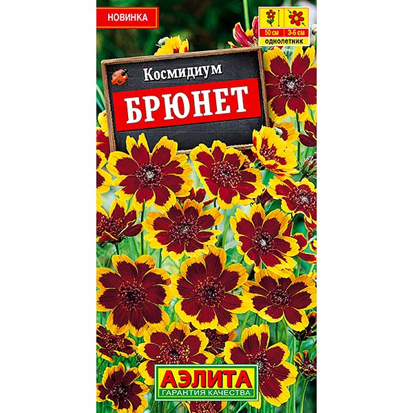 Космидиум Брюнет Аэлита Ц 