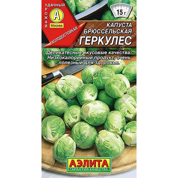 Капуста брюссельская Геркулес  Аэлита Ц