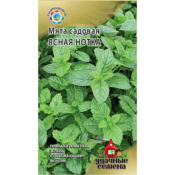 Мята садовая Ясная нотка Удач семена Гавриш Ц