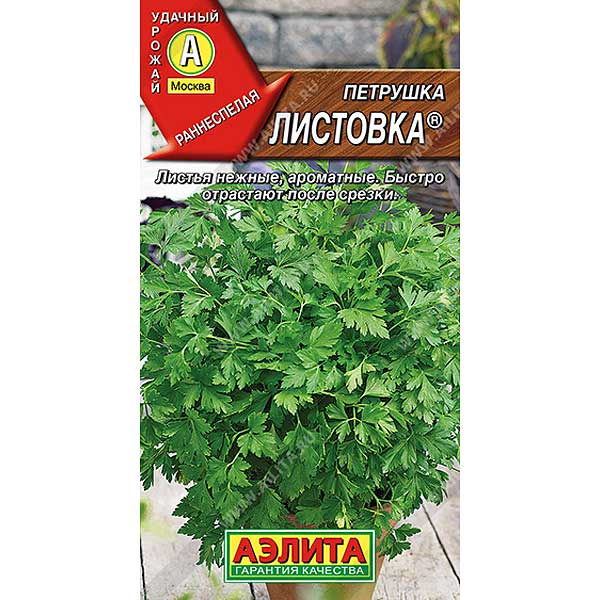 Петрушка листовая Листовка Аэлита Ц