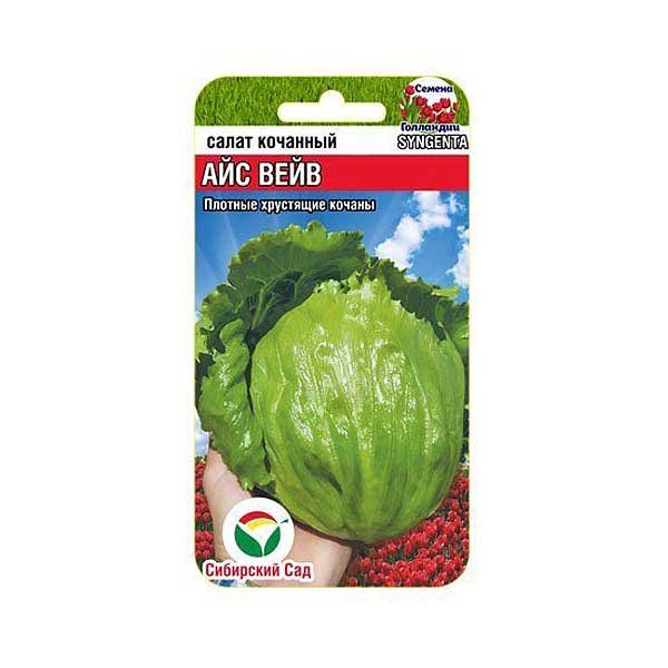 Салат Айс Вейв СибСад Ц